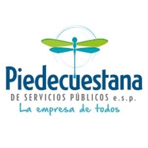 Piedecuestana de Servicios